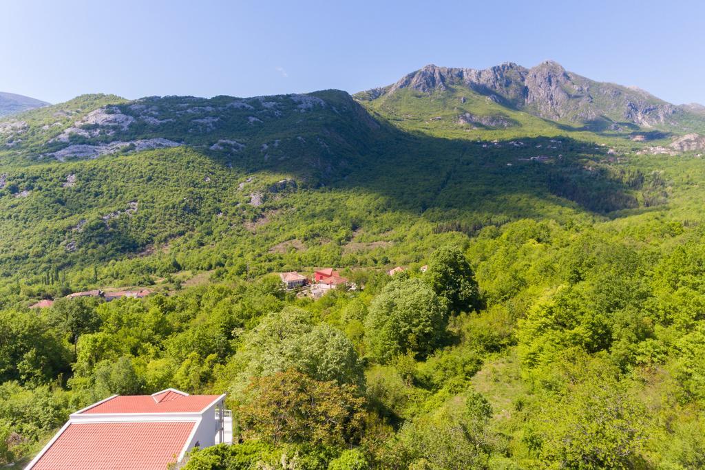 Whitehouse Villa Virpazar Ngoại thất bức ảnh